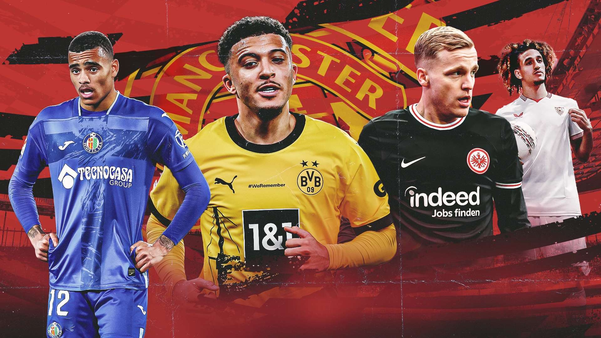 情与活力的 情与活力的